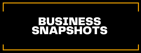Business Snapshots
